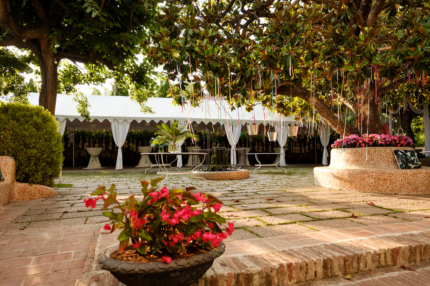 Jardín Magnolio En Masia Mas Coll | Espacio Para Bodas En Alella - Barcelona