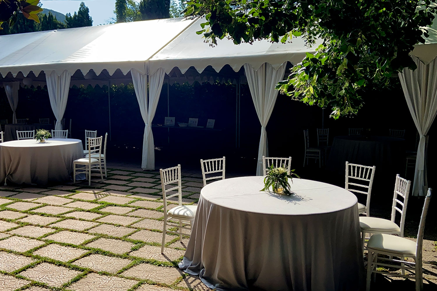 Jardín Magnolio En Masia Mas Coll | Espacio Para Bodas En Alella - Barcelona